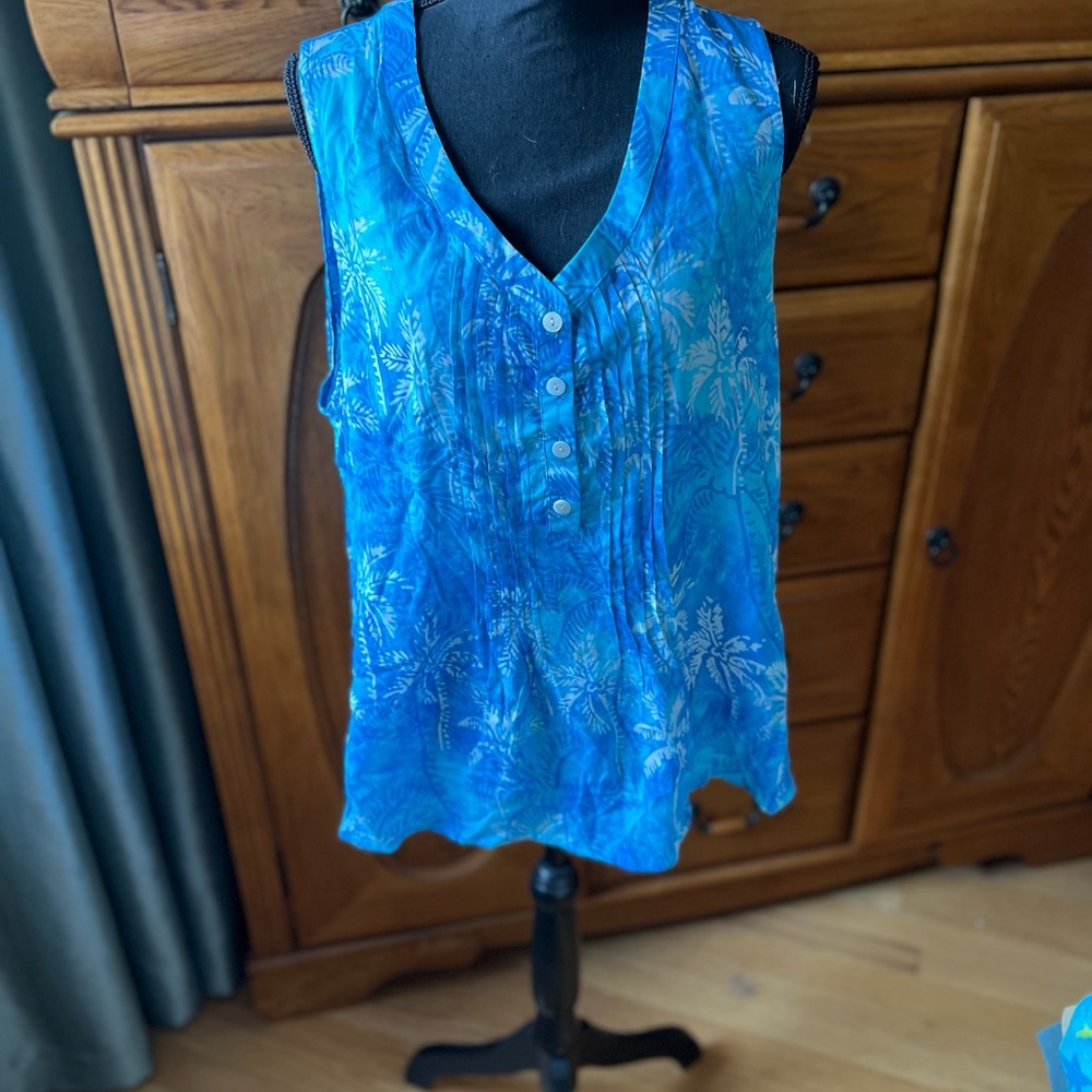 Blue Ginger Blouse with Flowing Silhouette and V-Neckline Size XL NWOT
